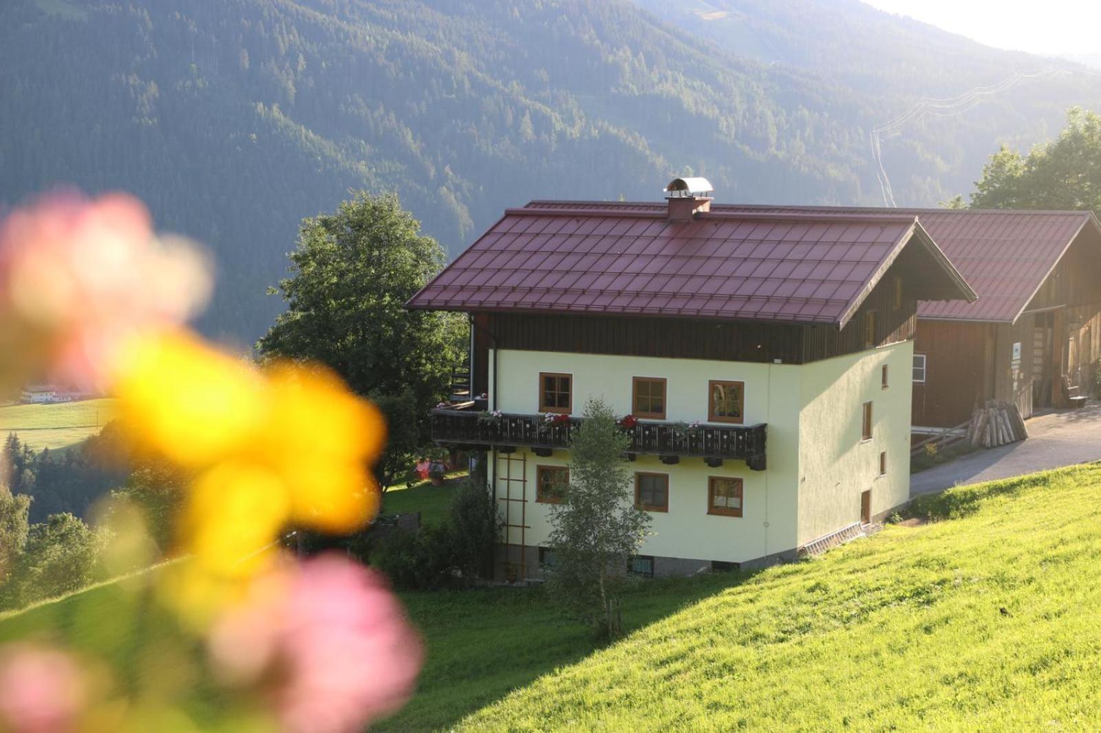 Apartment Molteraugut Muhlbach Am Hochkonig