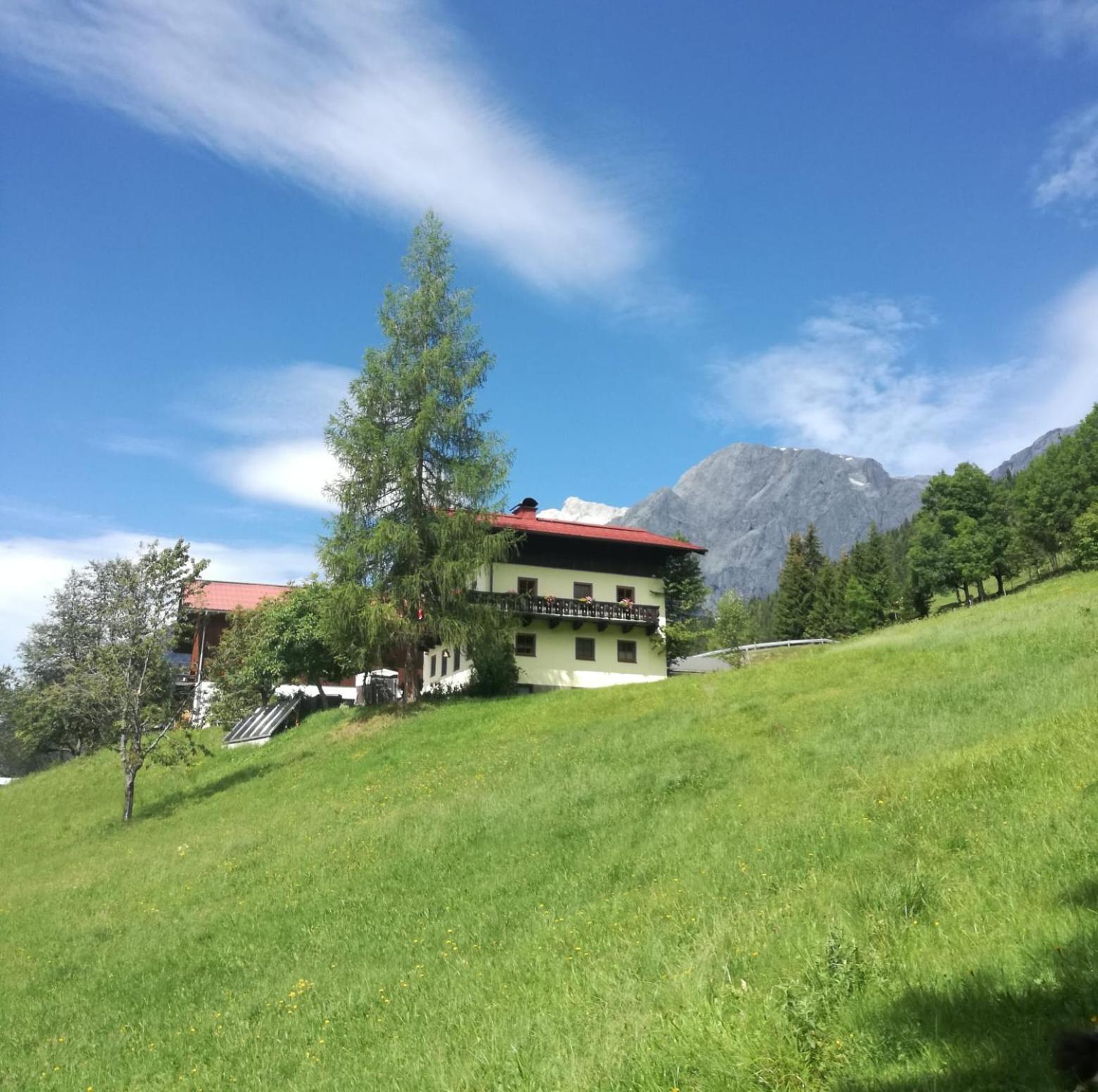 Molteraugut Apartment Muhlbach Am Hochkonig